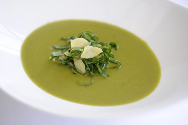 Parsnip and sorrel soup. Photo to go with kitchen technician Damacol, 5 of 16, Feb. 10, 2011 at Sanford restaurant. Ernie Mastroianni photo.