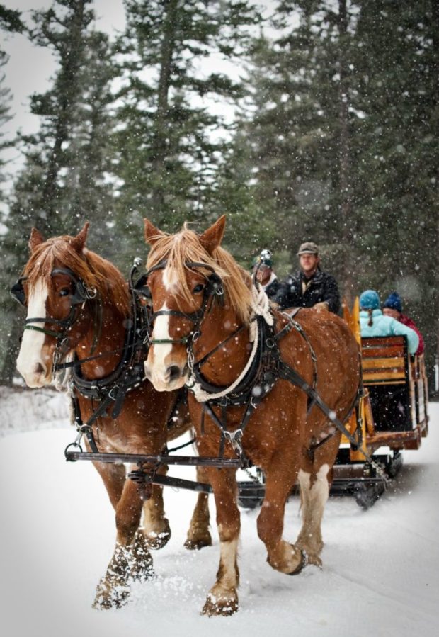 Lone Mountain Guest Ranch Winter